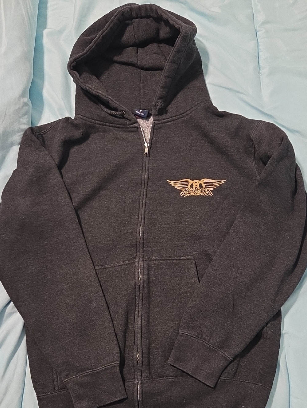 Aerosmith Concert Hoodie